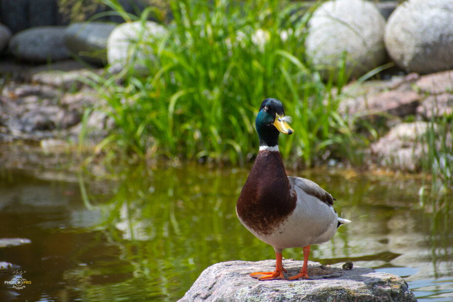 52951592927 10e59a2aba o scaled