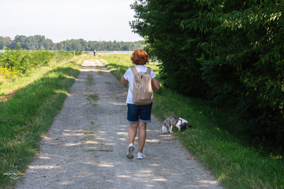 53125117809 7659f6c4eb o scaled