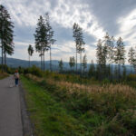 53262880569 65fb483eb6 o scaled