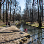 53536060262 beaa851618 o scaled