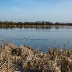 53614178737 96254567cc o scaled