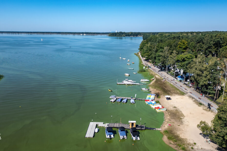 53963070630 6c0184e14f o scaled