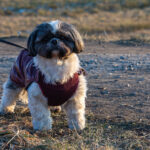 54340050112 1b711b2277 o scaled