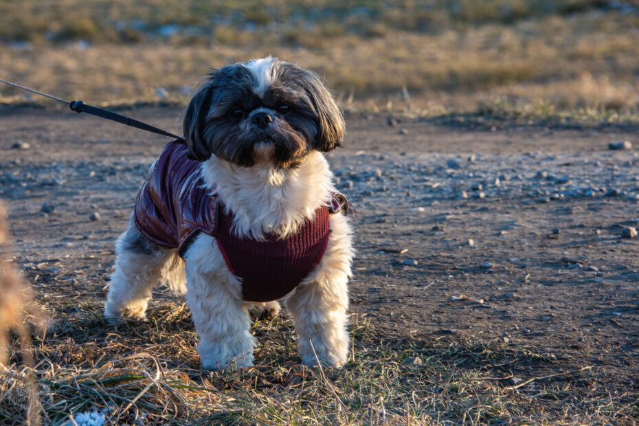 54340050112 1b711b2277 o scaled