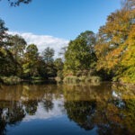 Autumn landscape with golden trees reflected in calm pond, Pszczyna Poland nature photography