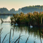 VFML 191024N 8 scaled