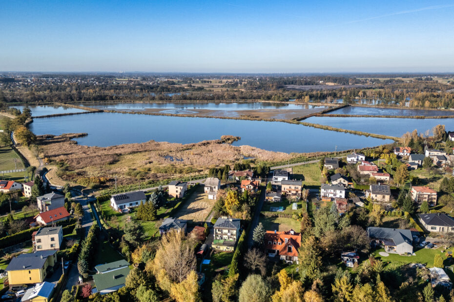 VFML 241024D 1 scaled