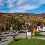 VFML 291024N 24 scaled