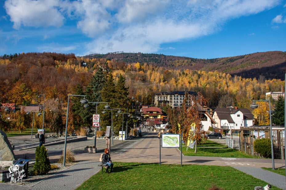 VFML 291024N 24 scaled