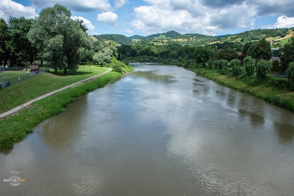 mps 38 53083688106 l