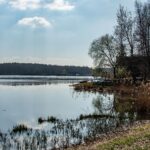 VFML 040425N 14 scaled