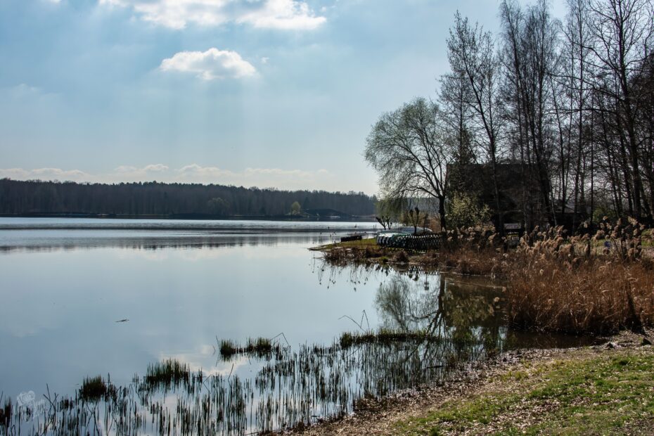 VFML 040425N 14 scaled