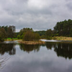 VFML 190425N 2 scaled