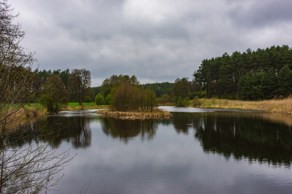 VFML 190425N 2 scaled