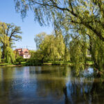 VFML 250425N 23 scaled