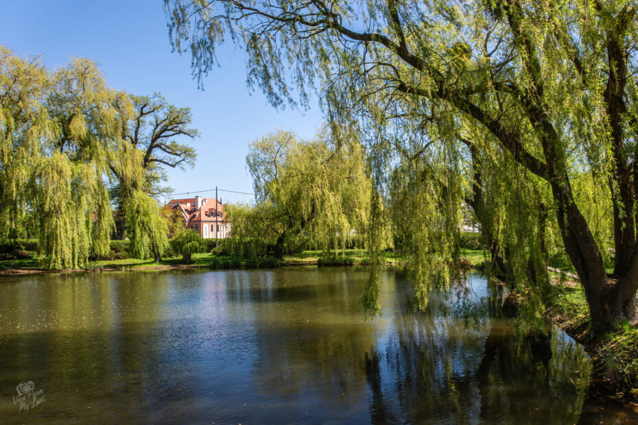 VFML 250425N 23 scaled