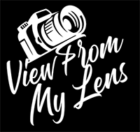 Visual Stories by Monty