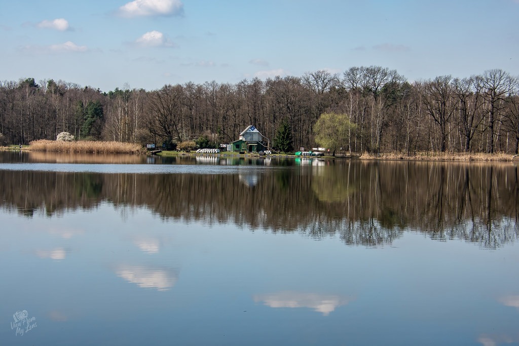 vfml 040425n 6 54429458132 l