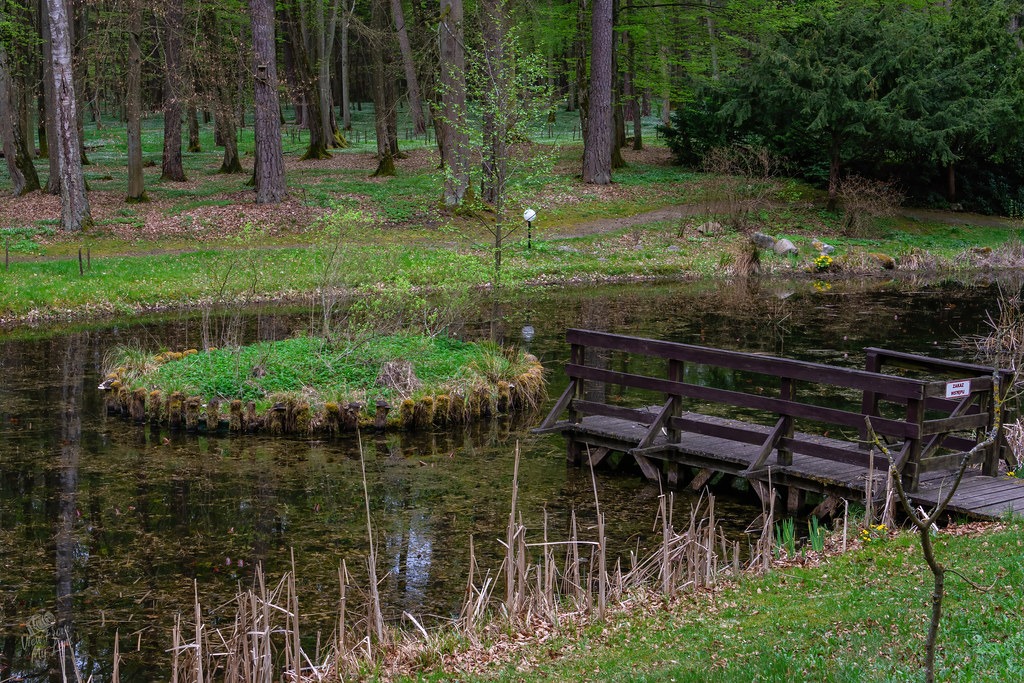 vfml 190425n 34 54484994819 l