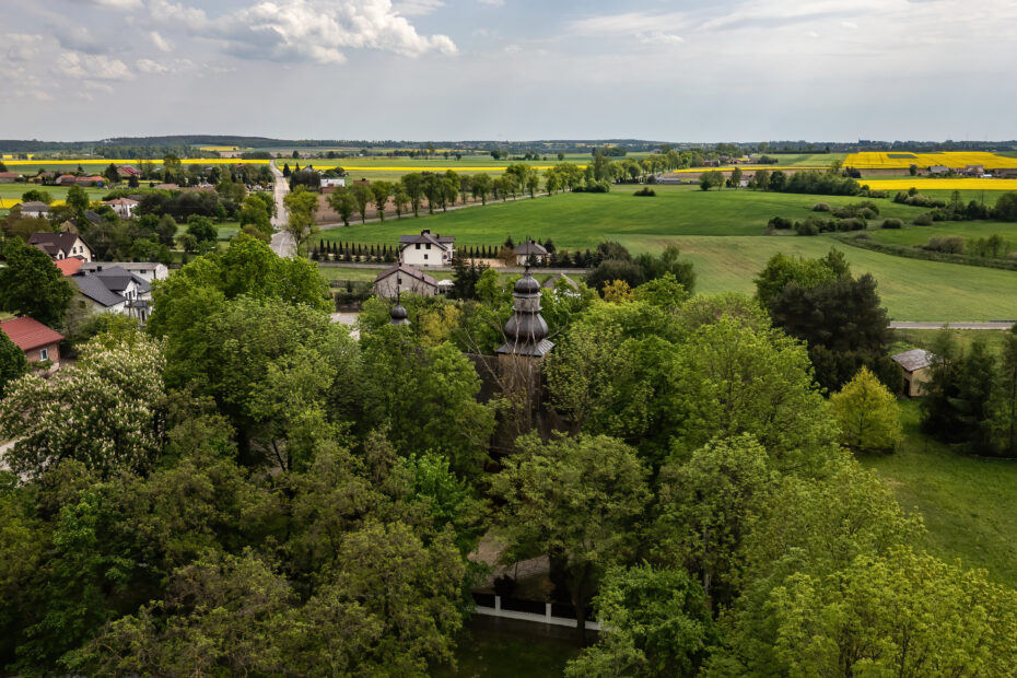 VFML 030525D 8 scaled