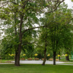 VFML 030525N 38 scaled