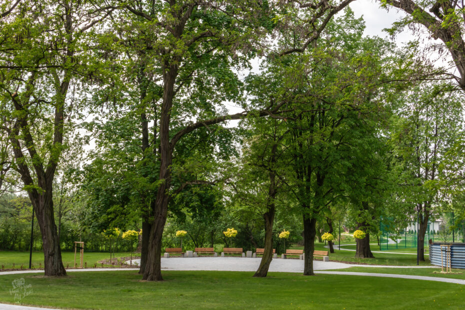 VFML 030525N 38 scaled