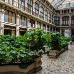 VFML 090625N 30 scaled