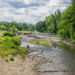 VFML 200725N 29 scaled