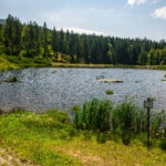 VFML 100825N 39 1 scaled