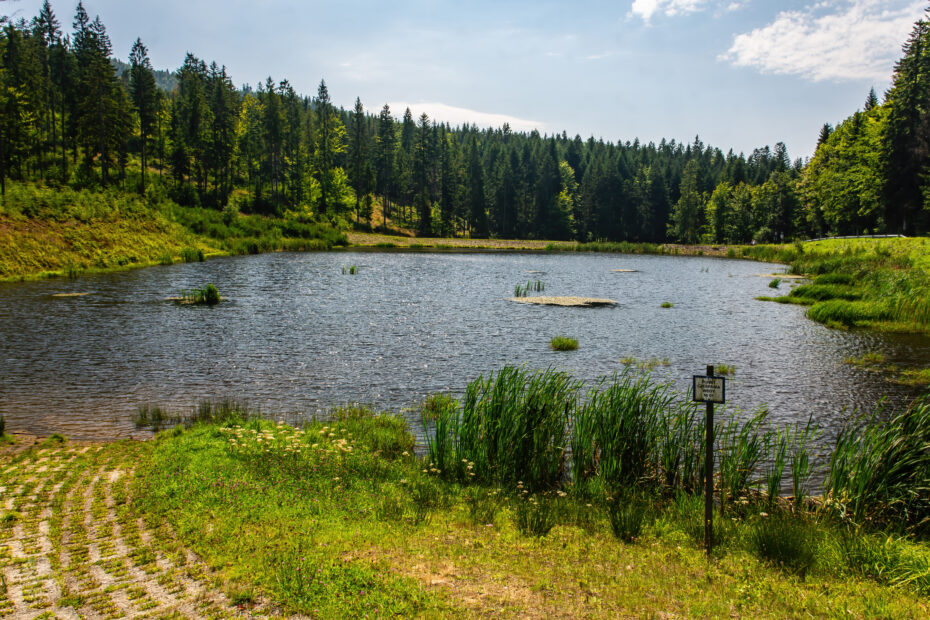 VFML 100825N 39 1 scaled