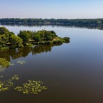 VFML 140825D 4 1 scaled