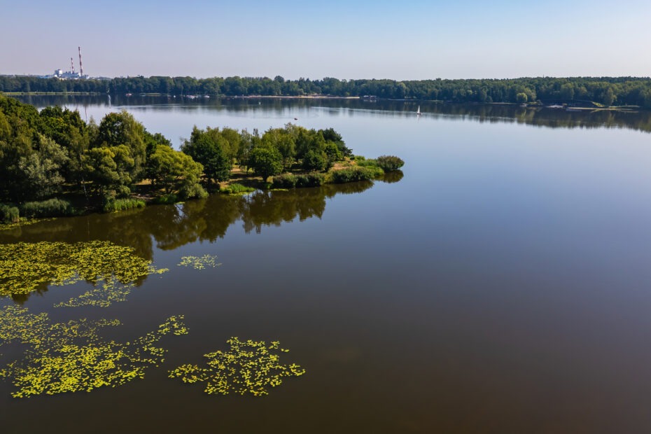 VFML 140825D 4 1 scaled