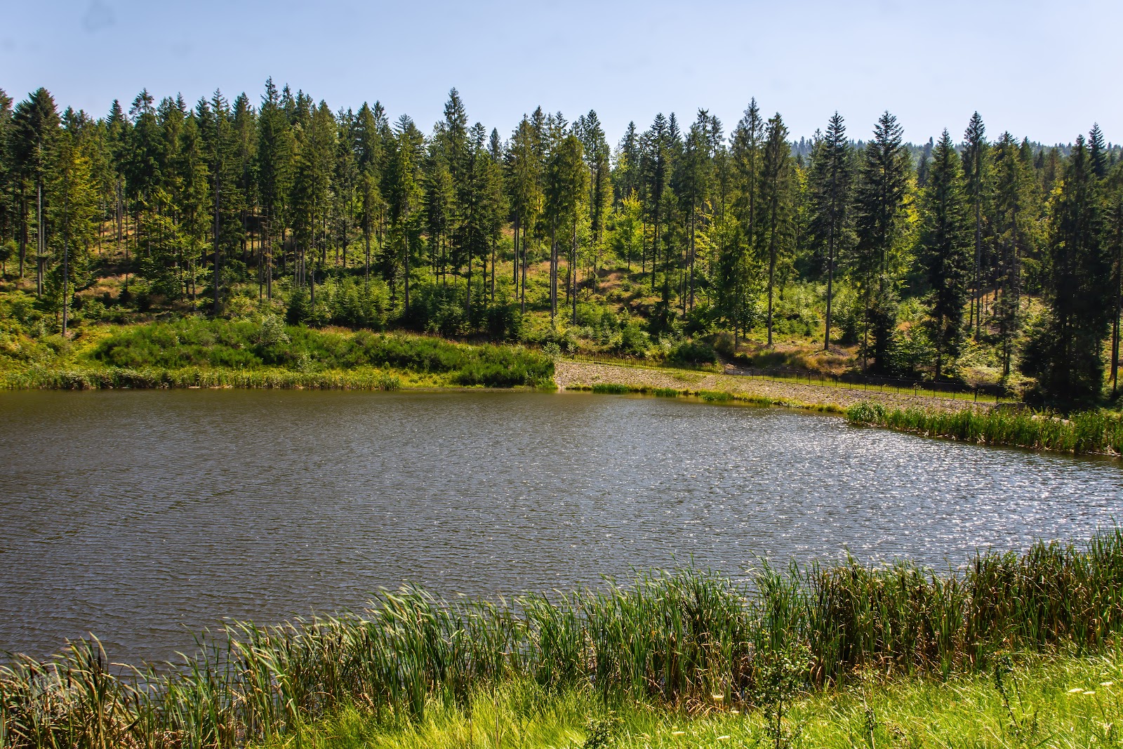 ganczorka summer reflections 32703554