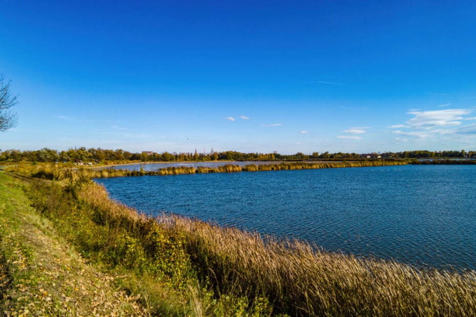 VFML 231025P2 13 scaled