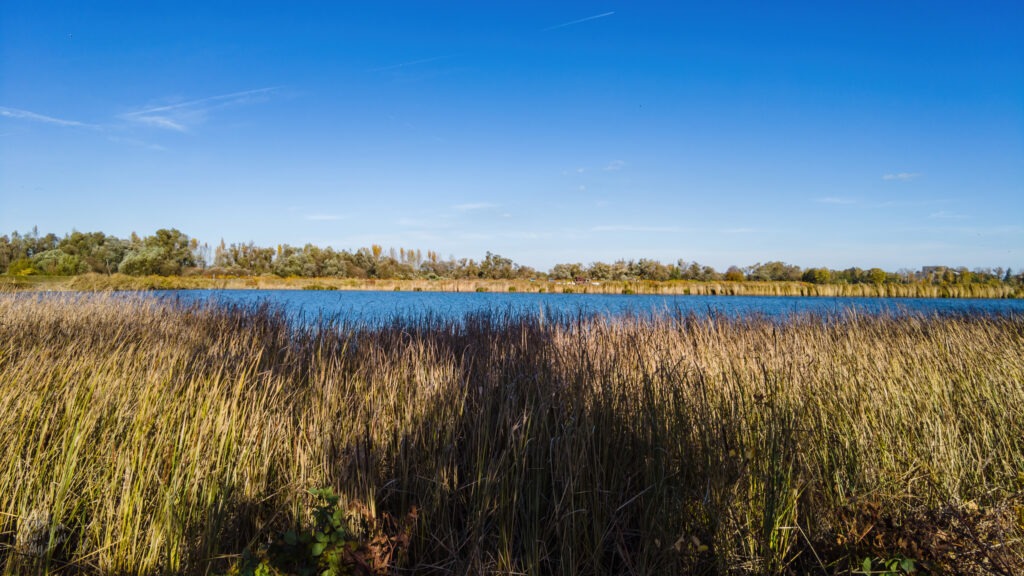 Autumn walk by the water - peaceful lakeside scenery with trees and autumn foliage