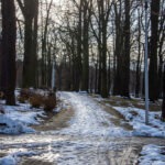 mps n111223 21 53390559141 l