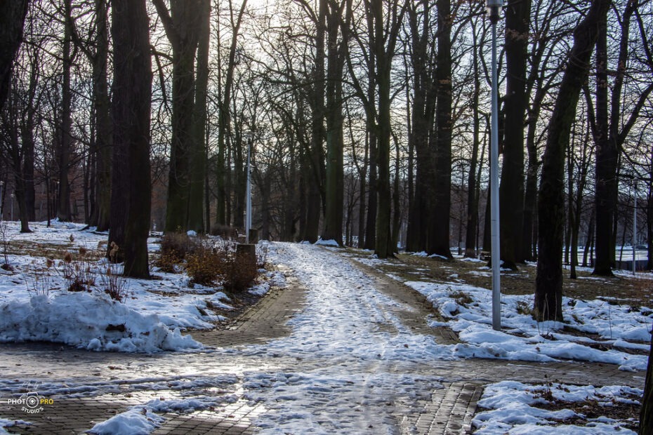 mps n111223 21 53390559141 l