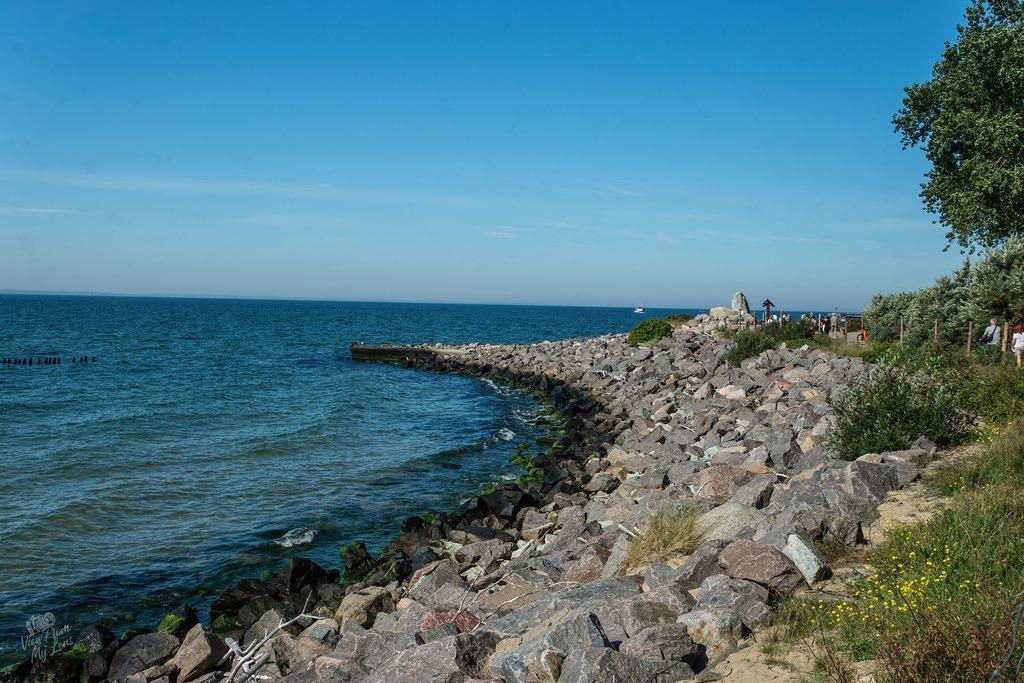 vfml 040925n 25 54778473305 l